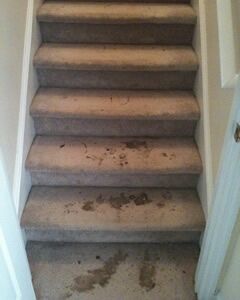 carpet cleaning stairs before
