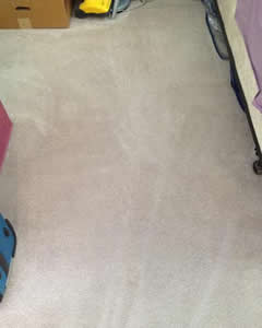 dublin carpet cleaning after