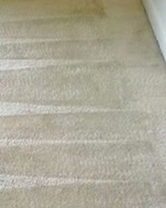 carpet cleaners dublin after