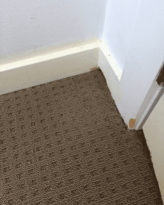 carpet restoration dublin after