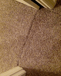 restoring carpets dublin before