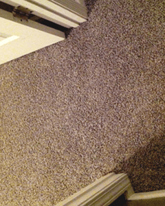repaired carpet dublin after
